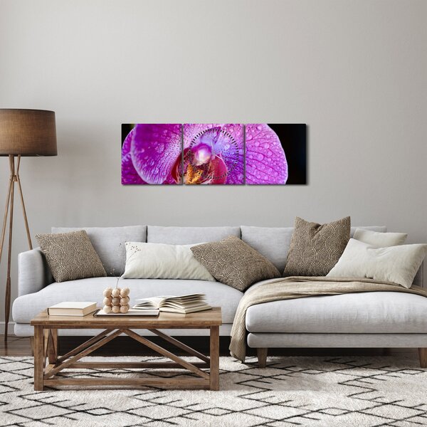 Zbliżenie kwiatu orchidei (z zegarem) (90x30 cm)