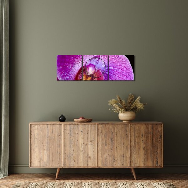 Zbliżenie kwiatu orchidei (z zegarem) (90x30 cm)