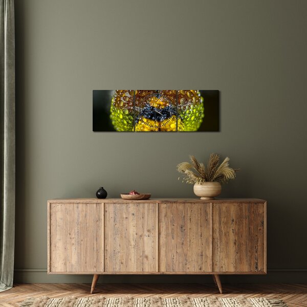 Szczegółowy obraz oczu owadów (z zegarem) (90x30 cm)