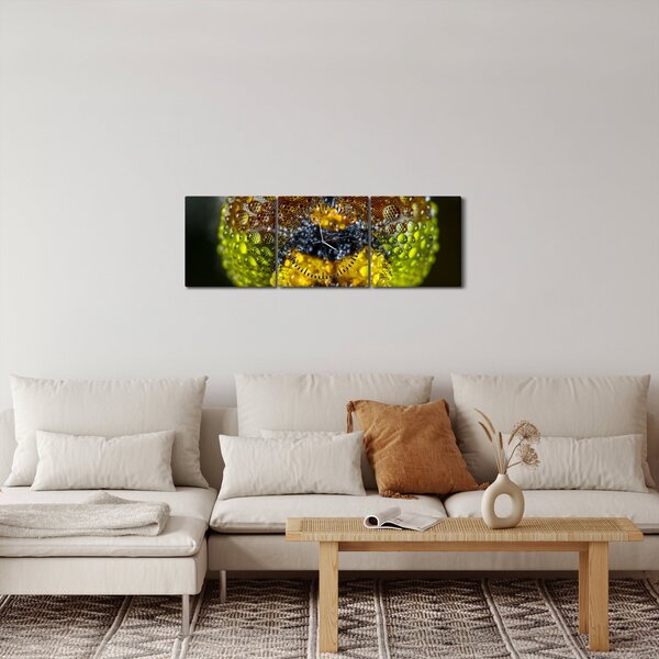 Szczegółowy obraz oczu owadów (z zegarem) (90x30 cm)