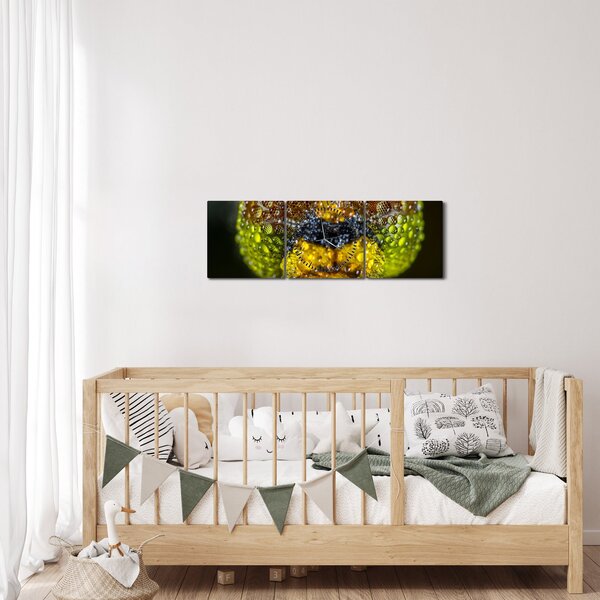Szczegółowy obraz oczu owadów (z zegarem) (90x30 cm)