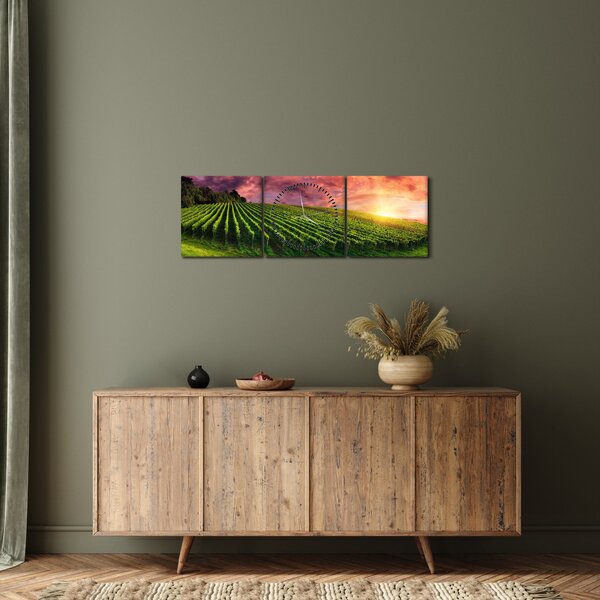 Obraz winnicy z kolorowym niebem (z zegarem) (90x30 cm)