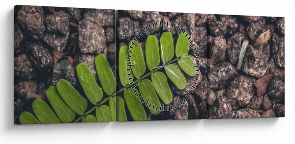 Obraz zielonej rośliny (z zegarem) (90x30 cm)