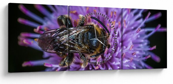 Obraz pszczoły na kwiatku (z zegarem) (90x30 cm)