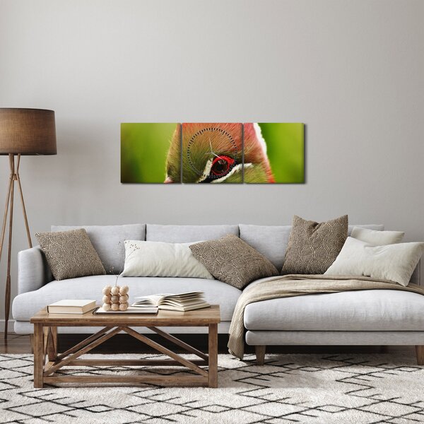 Obraz kolorowego ptaka (z zegarem) (90x30 cm)