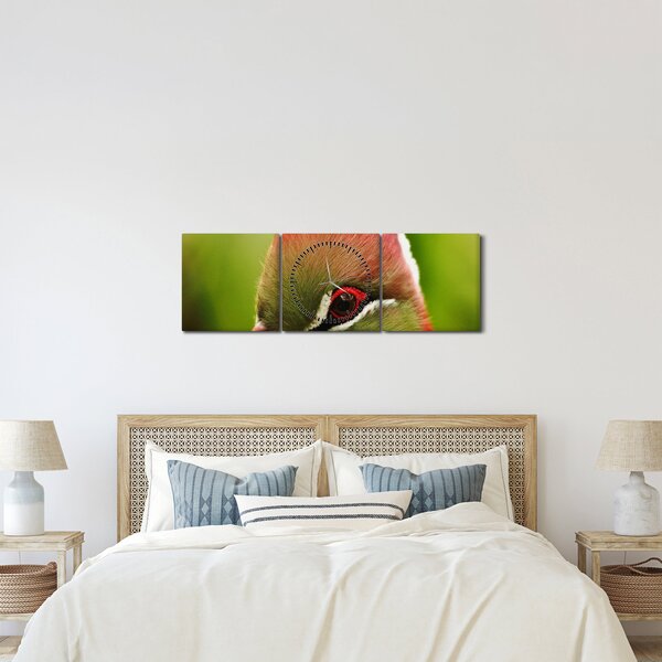 Obraz kolorowego ptaka (z zegarem) (90x30 cm)