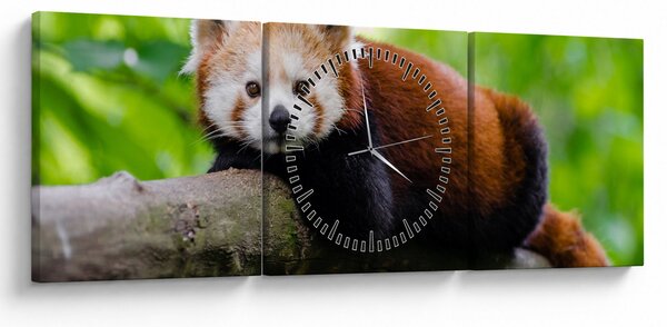 Obraz pandy czerwonej (z zegarem) (90x30 cm)
