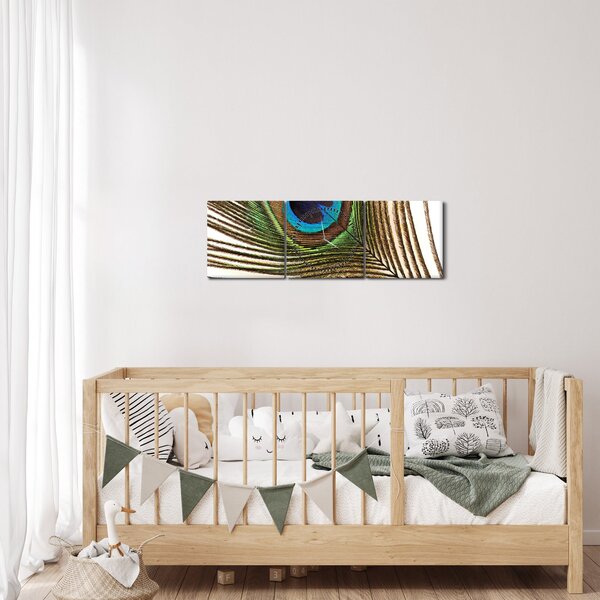 Obraz pawich piór (z zegarem) (90x30 cm)