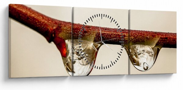 Obraz kropli na gałęzi (z zegarem) (90x30 cm)