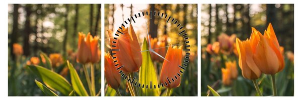 Obraz - pomarańczowe tulipany (z zegarem) (90x30 cm)