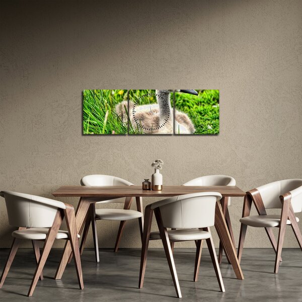 Obraz - mały łabędź w trawie (z zegarem) (90x30 cm)