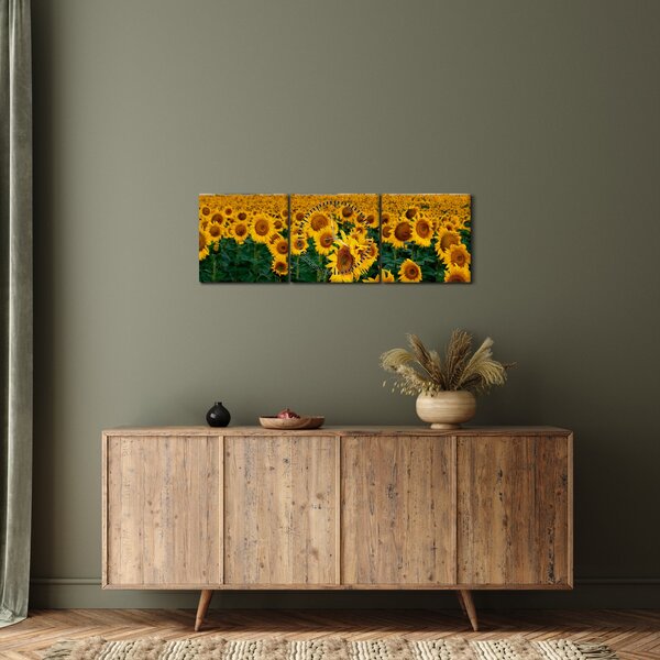 Obraz pola słoneczników (z zegarem) (90x30 cm)