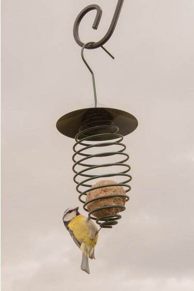 Ciemnozielony metalowy karmnik z daszkiem Esschert Design, ⌀ 10,8 cm