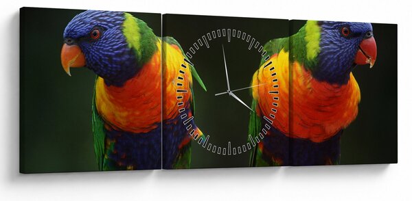 Obraz papug (z zegarem) (90x30 cm)