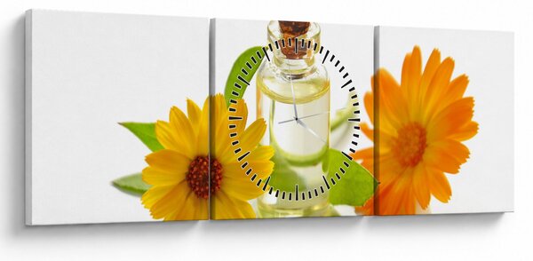 Obraz kwiatowego oleju (z zegarem) (90x30 cm)