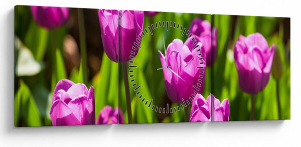 Obraz tulipanów na łące (z zegarem) (90x30 cm)