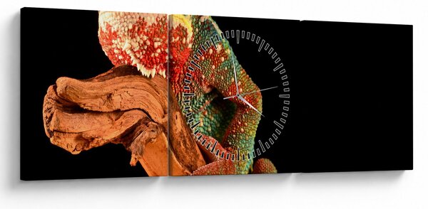 Obraz kameleona na gałęzi (z zegarem) (90x30 cm)