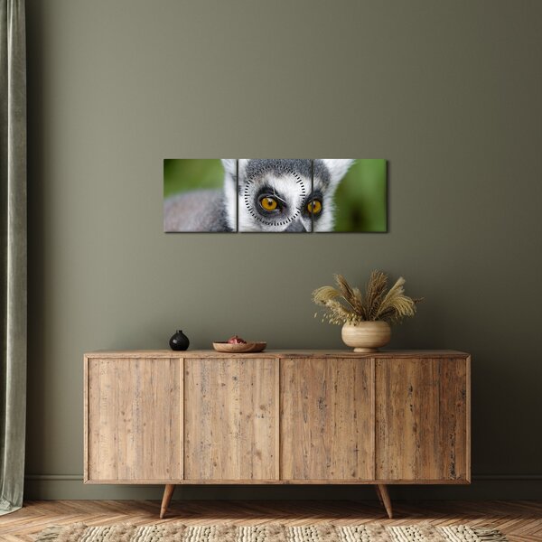 Obraz lemura (z zegarem) (90x30 cm)