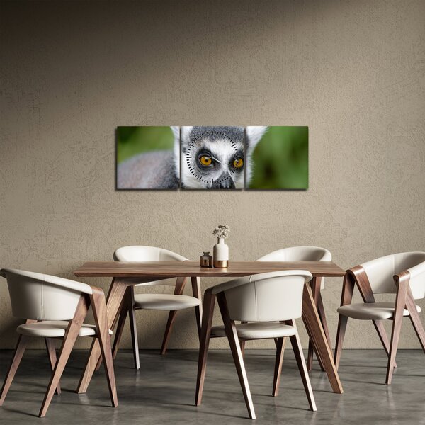 Obraz lemura (z zegarem) (90x30 cm)