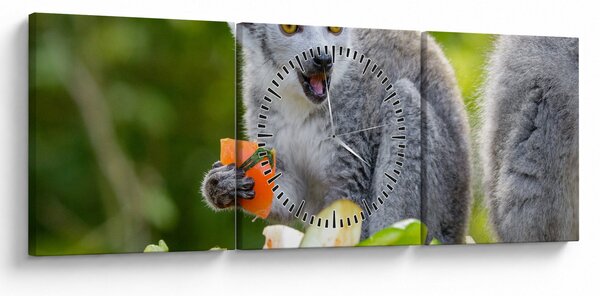 Obraz lemura (z zegarem) (90x30 cm)