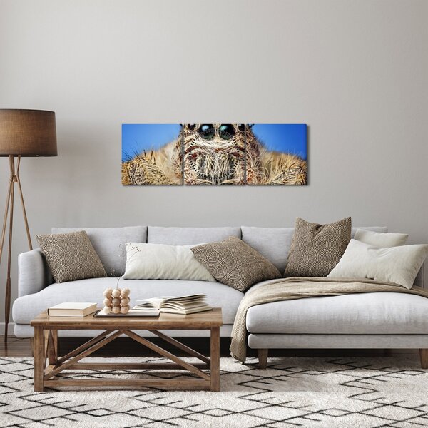 Obraz szczegółu pająka (z zegarem) (90x30 cm)