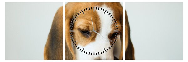 Obraz Beagle (z zegarem) (90x30 cm)