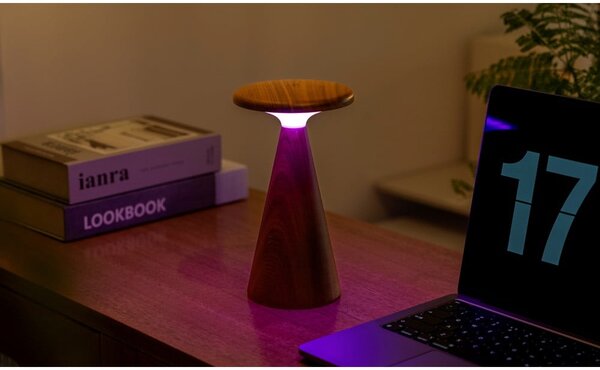 Lampa stołowa LED w ciemnym naturalnym kolorze z drewnianym kloszem (wysokość 21 cm) Sylva – Gingko