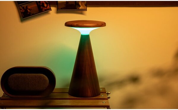 Lampa stołowa LED w ciemnym naturalnym kolorze z drewnianym kloszem (wysokość 21 cm) Sylva – Gingko