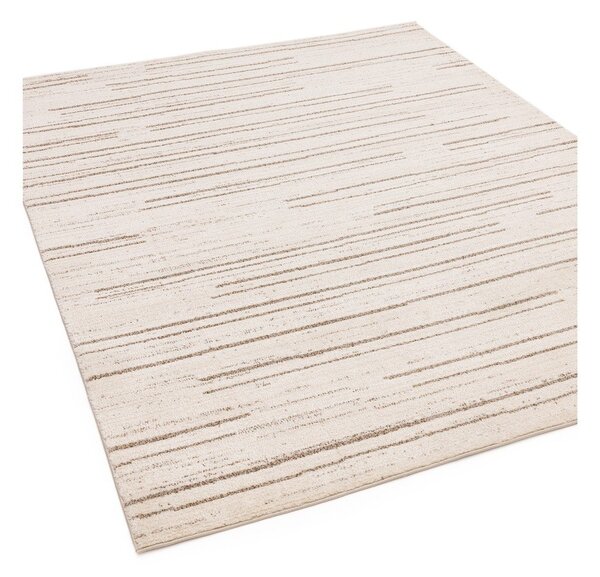 Kremowy dywan 120x160 cm Oslo – Asiatic Carpets