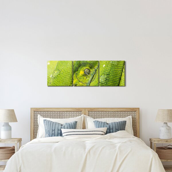 Obraz węża (z zegarem) (90x30 cm)
