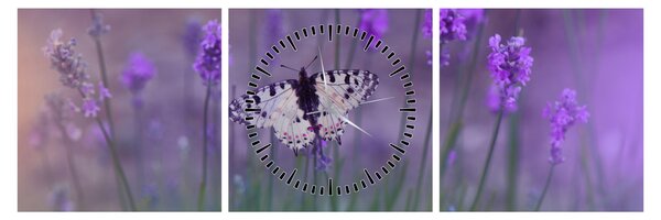 Obraz - Motyl w lawendach (z zegarem) (90x30 cm)