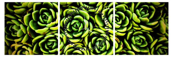 Obraz bez grzywki (z zegarem) (90x30 cm)