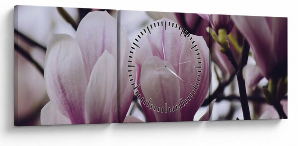 Obraz - Magnolia (z zegarem) (90x30 cm)