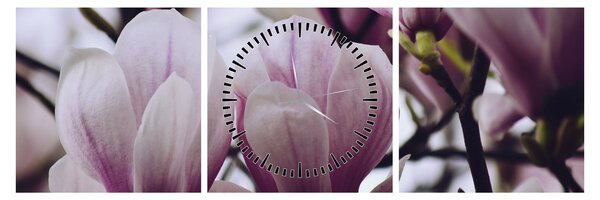 Obraz - Magnolia (z zegarem) (90x30 cm)