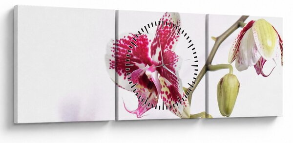 Obraz kwiatu orchidei (z zegarem) (90x30 cm)