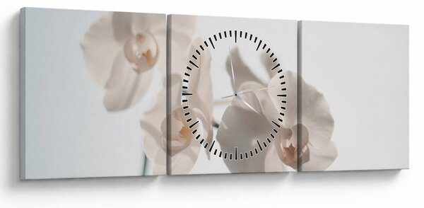 Obraz białej orchidei (z zegarem) (90x30 cm)