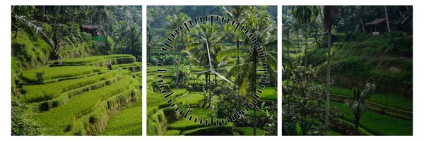 Obraz tarasów ryżowych Tegalalang, Bali (z zegarem) (90x30 cm)