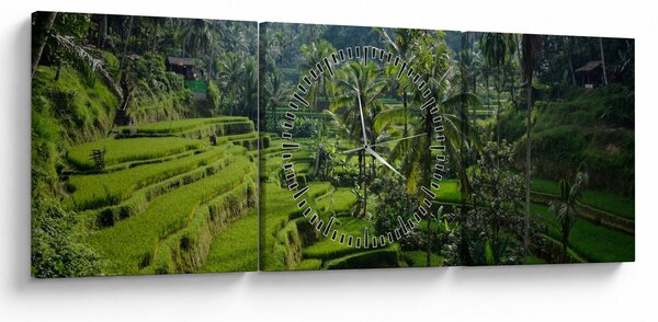 Obraz tarasów ryżowych Tegalalang, Bali (z zegarem) (90x30 cm)