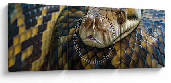 Obraz - Pyton (z zegarem) (90x30 cm)