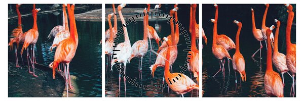 Obraz stada flamingów (z zegarem) (90x30 cm)