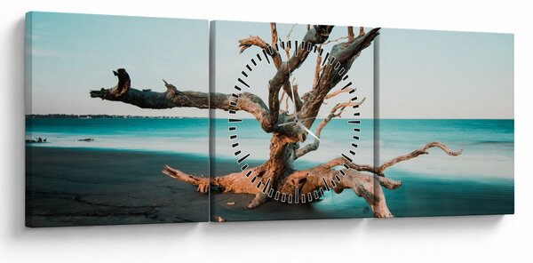 Obraz - Wyłowiono na plaży (z zegarem) (90x30 cm)