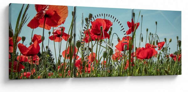 Obraz - Na polu maków (z zegarem) (90x30 cm)
