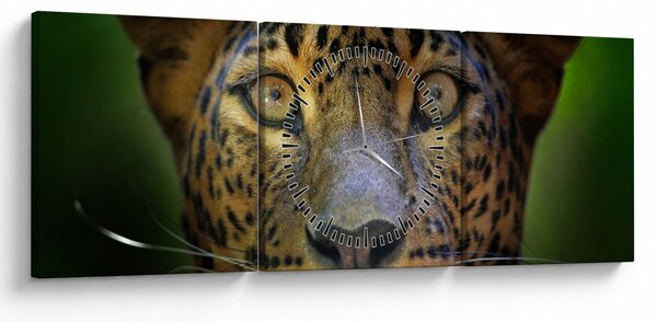Obraz - Portret lamparta, Sri Lanka (z zegarem) (90x30 cm)