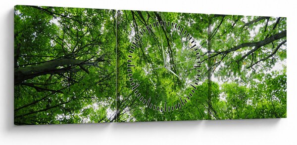 Obraz - Widok do korony drzewa (z zegarem) (90x30 cm)