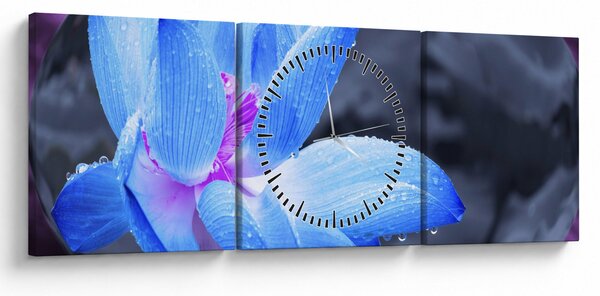 Obraz szczegółu kwiatu (z zegarem) (90x30 cm)