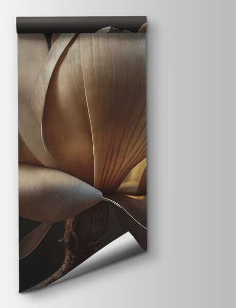 Fototapeta Wdzięczna magnolia w delikatnym świetle, Fototapety 3d z kwiatami, Popularne Fototapety, u94507 - Tapeko.pl