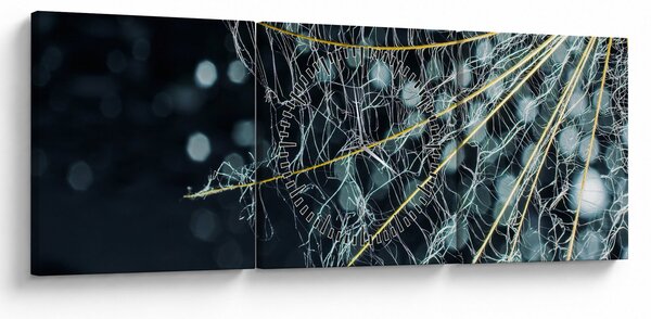 Obraz - Kwiat z pajęczyną (z zegarem) (90x30 cm)