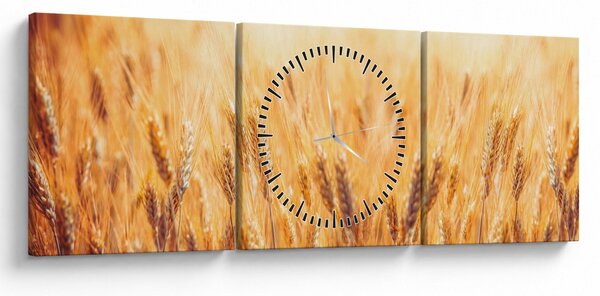 Obraz - pole z ziarnami (z zegarem) (90x30 cm)