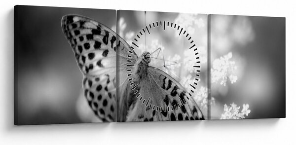 Obraz - Szczegół motyla zapylającego kwiat (z zegarem) (90x30 cm)