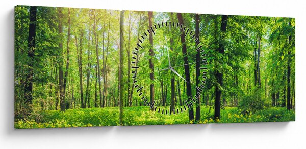 Obraz - Wiosenny las liściasty (z zegarem) (90x30 cm)